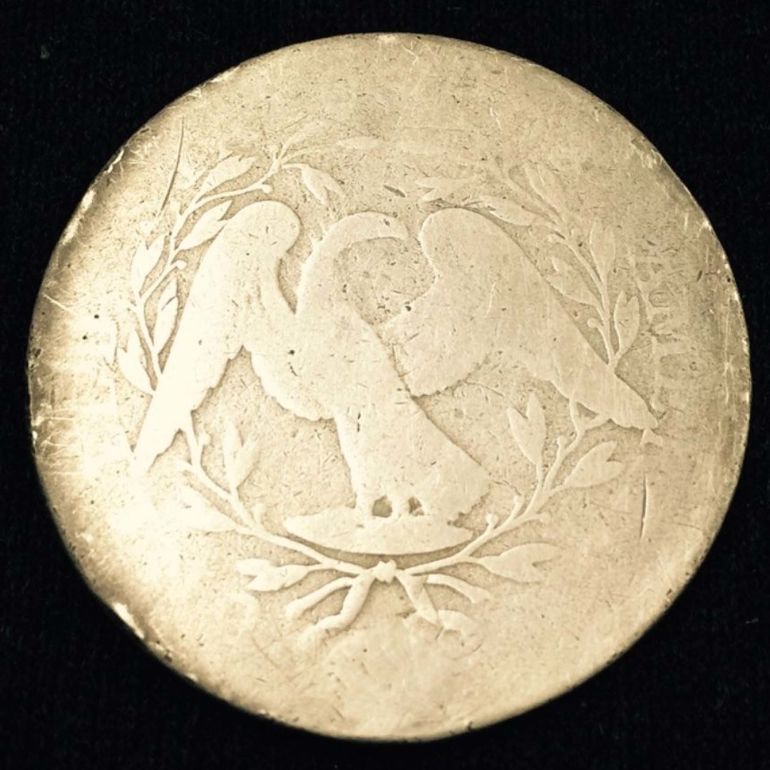 Flowing-Hair-Half-Dollar---Did-Someone-Get-A-Good-Deal-Or-Not?